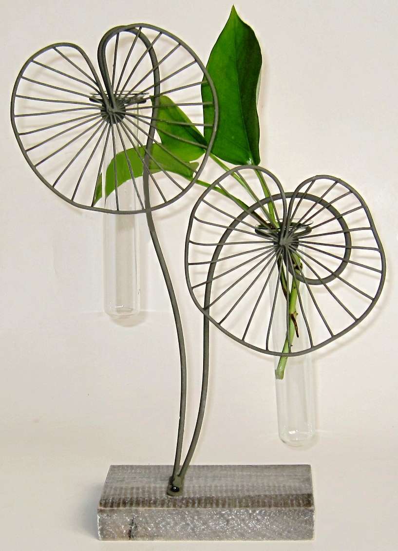 Flower Holder Test Tube Double Lotus Carolina Trading