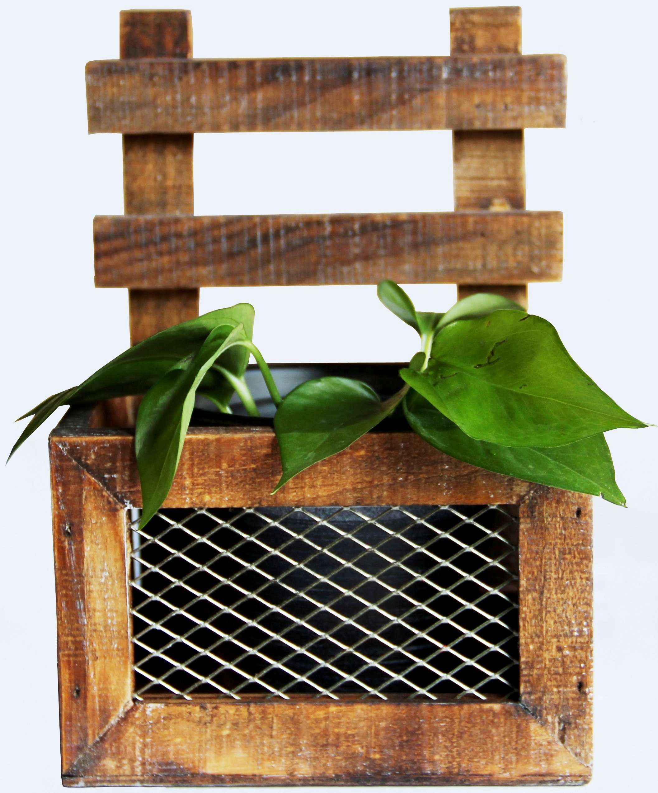 Flower Pot Chair Carolina Trading