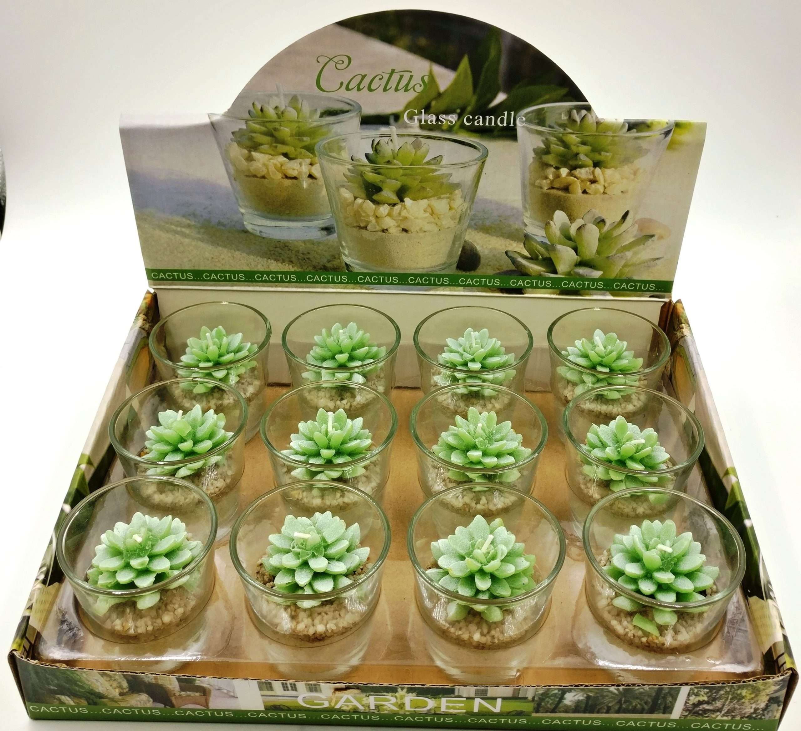 Cactus Candles In Glass Jar Set Of 12 Carolina Trading