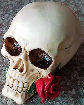 Skull Roses