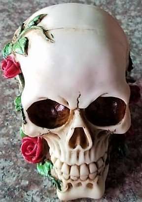 Skull Roses