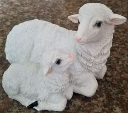 Sheep with Lamb