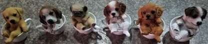 Dog in Cup - Image 2