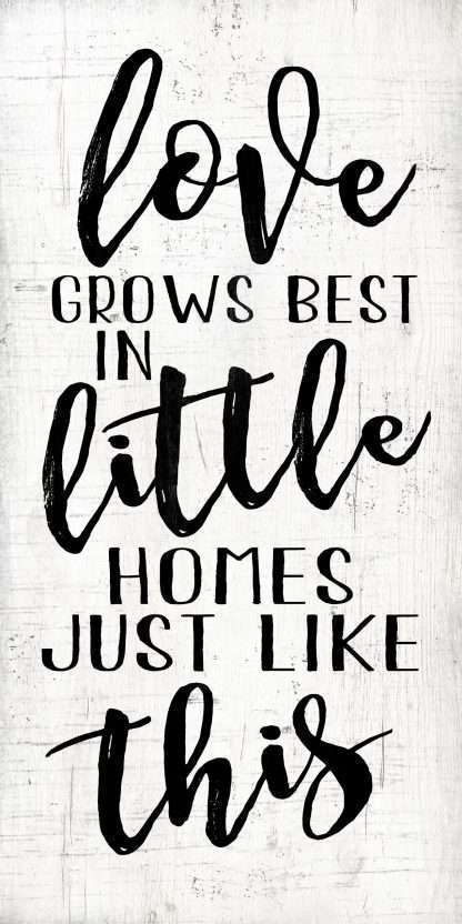 Wall Art on MDF Love Grows 30x60cm