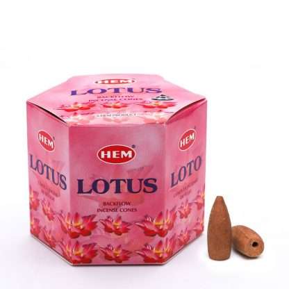 HEM Backflow Cones - Lotus