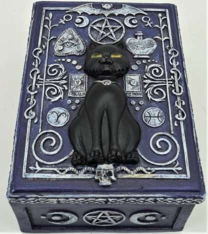 Small Black Cat Box