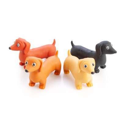 Stretch Dachshund - Image 2