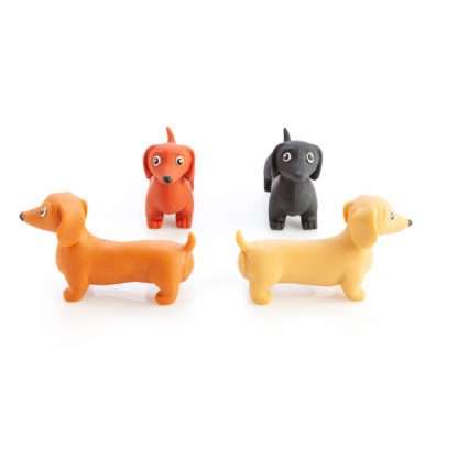 Stretch Dachshund - Image 3