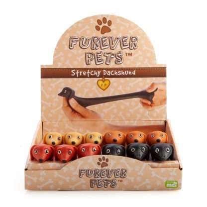 Stretch Dachshund - Image 6