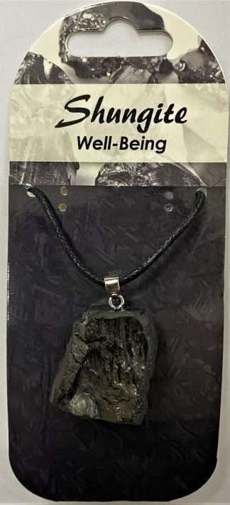 Shungite Pendant