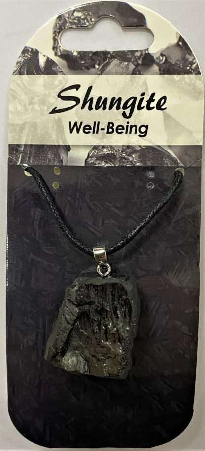 Shungite Pendant