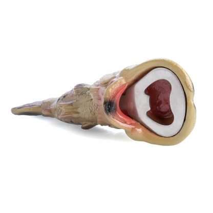 Bass Fish Bottle Opener - Image 3