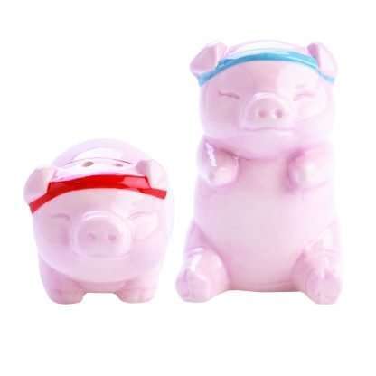 Flavour Mates Rude Pigs Salt & Pepper Set - Image 3