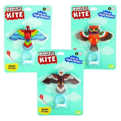 World's Smallest Kite - Birds