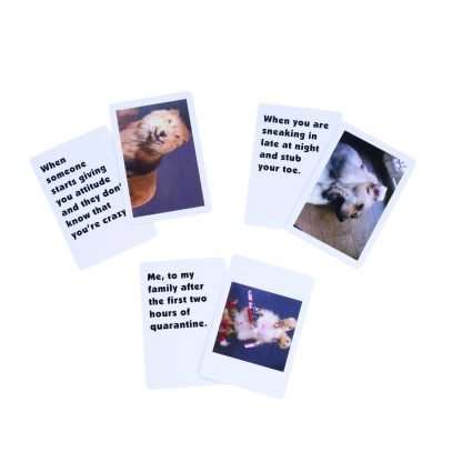 What the F*ck? Memes Card Game - Image 3