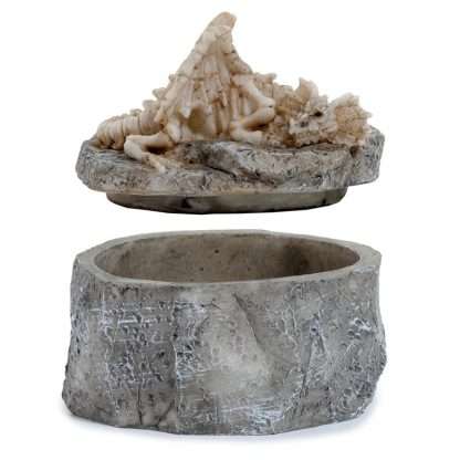 Shadows of Darkness Sleeping Bones Dragon Skeleton Trinket Box - Image 2