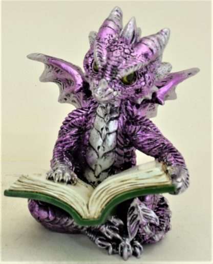 Purple Dragon Reading Book
