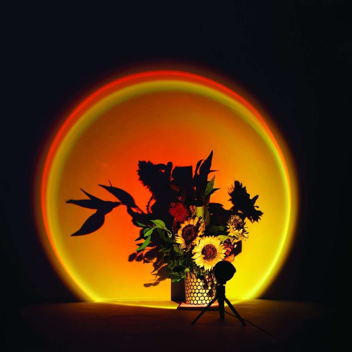 Morphing Projection Lamp - Image 3
