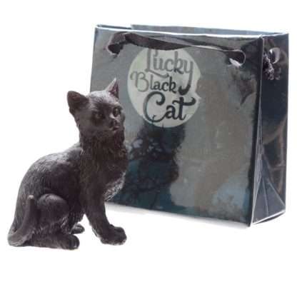 Lucky Black Cat in a Mini Gift Bag - Image 2