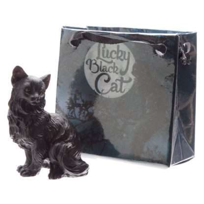 Lucky Black Cat in a Mini Gift Bag - Image 3
