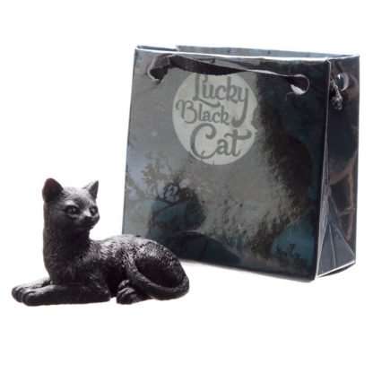 Lucky Black Cat in a Mini Gift Bag - Image 4