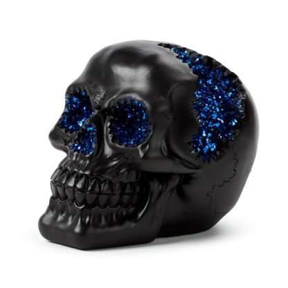 Black Crystal Cave Skull - Image 4