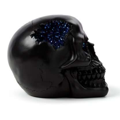 Black Crystal Cave Skull - Image 8