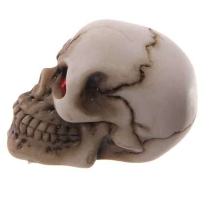 Gruesome Skull with Red Gem Eyes Decoration - Image 2