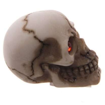 Gruesome Skull with Red Gem Eyes Decoration - Image 4