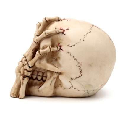 Gruesome Skull Head with Skeleton Claw Hand - Image 4