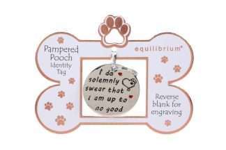 Equilibrium Engravable Pooch ID Tag Up to No Good
