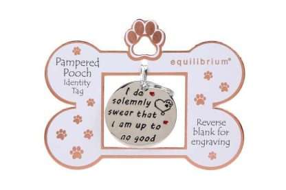 Equilibrium Engravable Pooch ID Tag Up to No Good