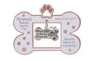 Equilibrium Engravable Pooch ID Tag School Dropout