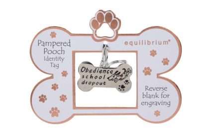 Equilibrium Engravable Pooch ID Tag School Dropout