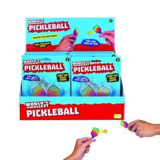 World's Smallest Pickleball Set