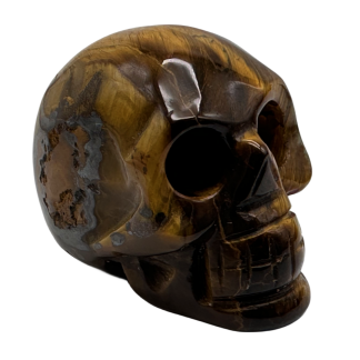 Tiger Eye Skull