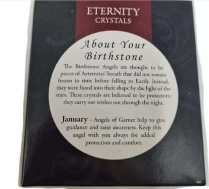 Eternity Crystals Birthstone Suncatcher Jan - Image 4