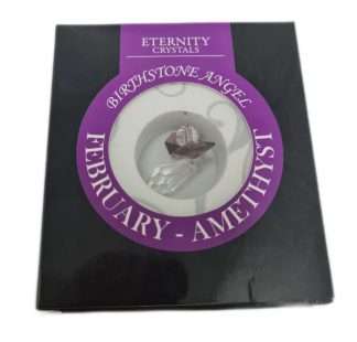 Eternity Crystals Birthstone Suncatcher Feb