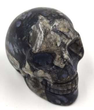 Gemstone Skull  Rhyolite Large