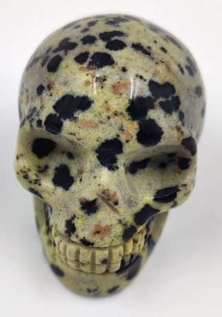 Gemstone Skull  Dalmatian Jasper Large