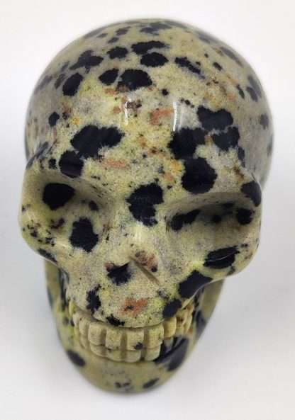 Gemstone Skull  Dalmatian Jasper Large