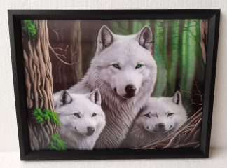 3D White Wolves 30x40CM