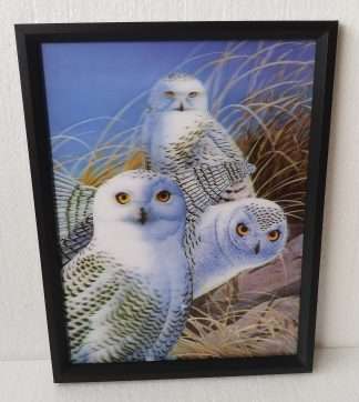 3D Owl Parliament 30x40CM
