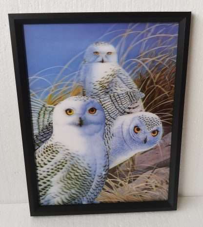 3D Owl Parliament 30x40CM