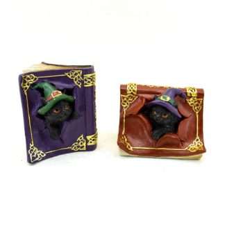 Witches Black Cat Mischievous Spell Book