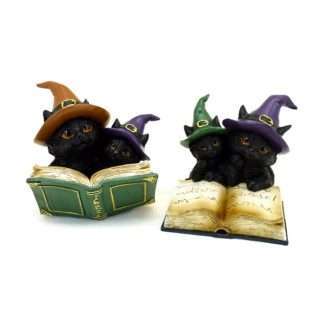 Witches Black Cat Magical Spell Book