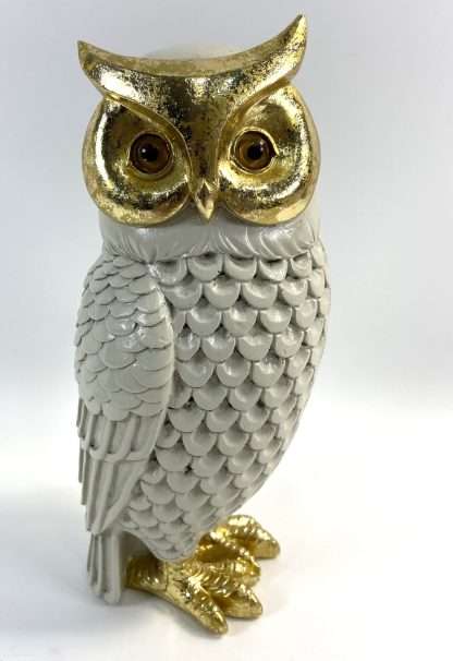 Wise Owl