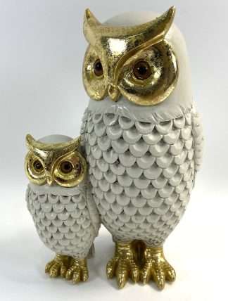 Barn Owl Family
