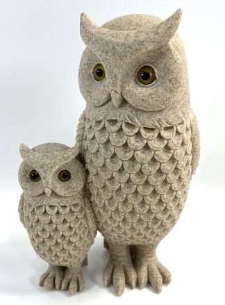 Barn Owl Family