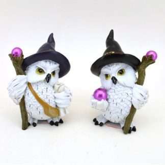Wise Old Magical Owl on a Magical Journey